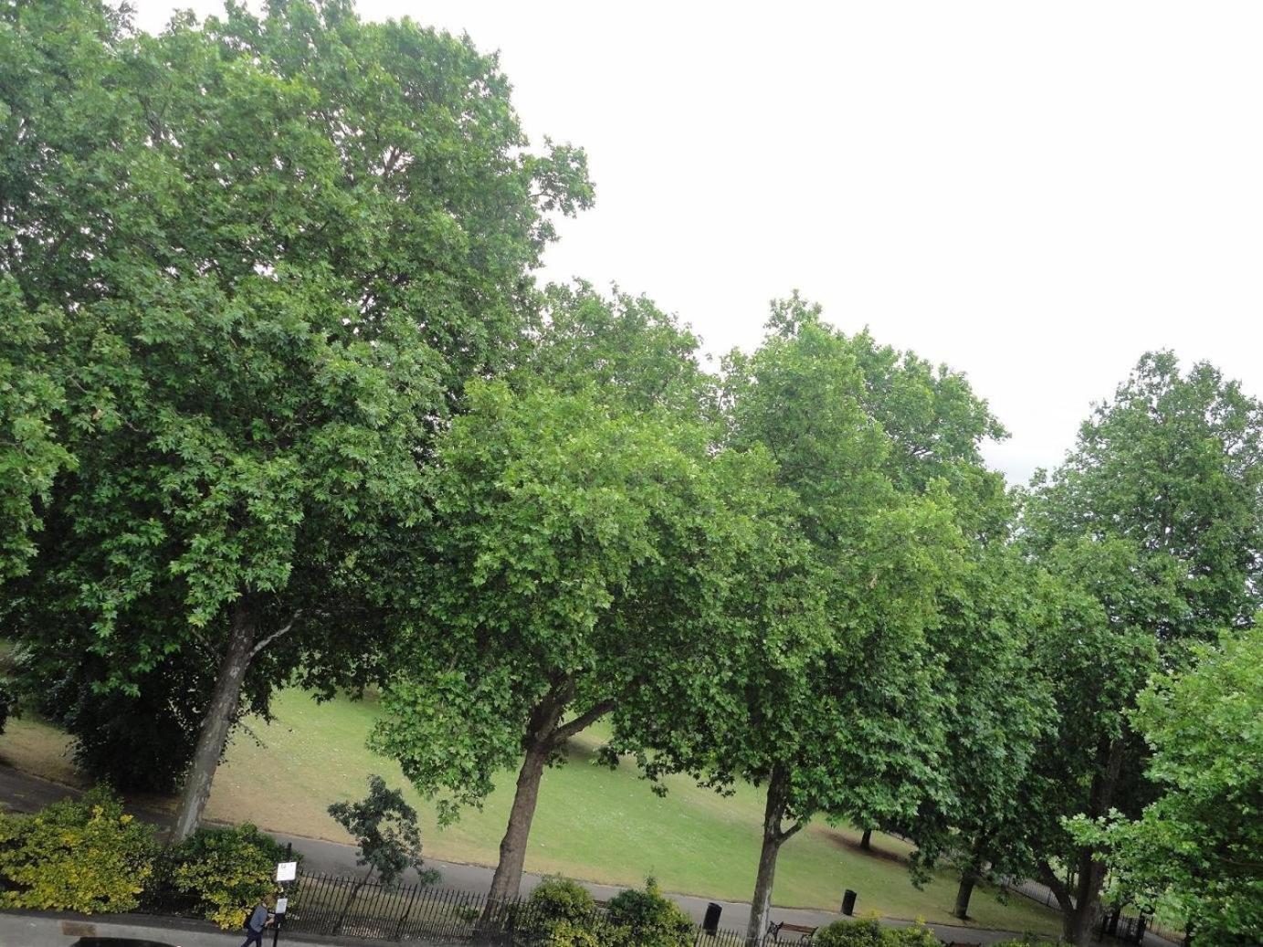 City View Hotel Londra Dış mekan fotoğraf